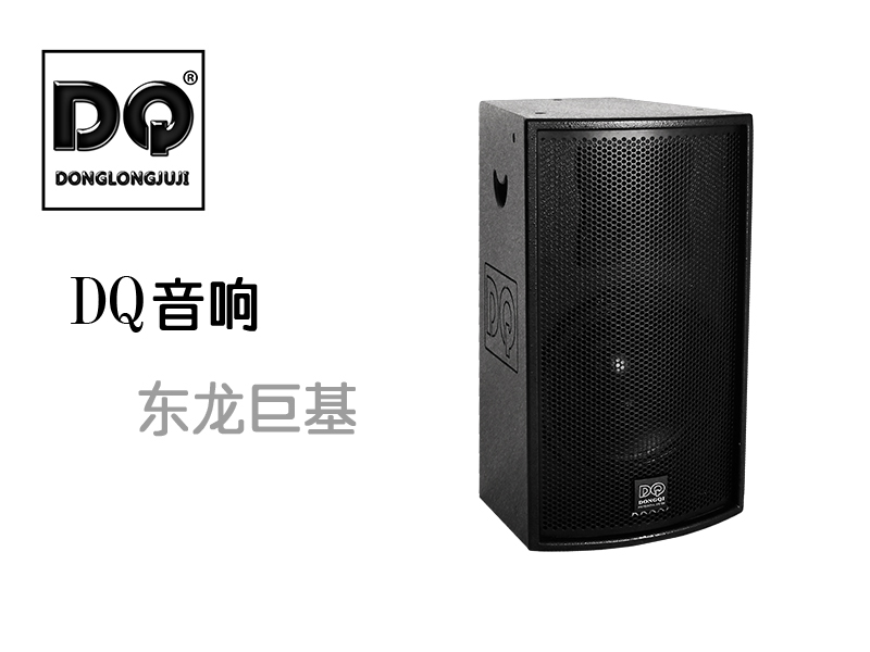 东龙巨基-DQ音响RV2U12BN产品年度发布