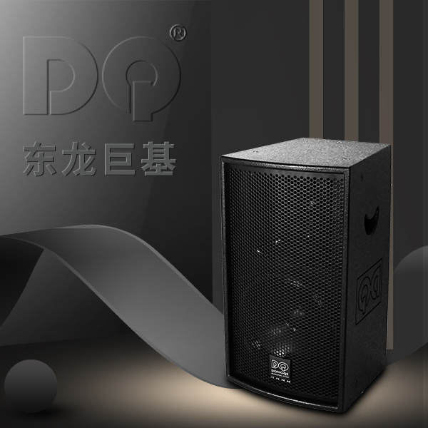 DQ音响-东龙巨基-RV2U10BN全频音箱