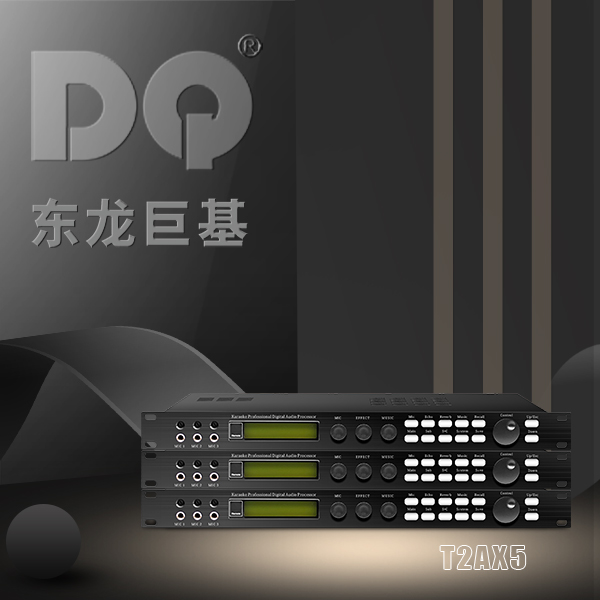 DQ音响 东龙巨基 T2AX5 处理器