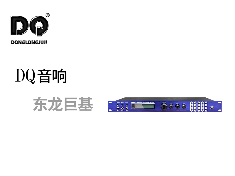 DQ音响 东龙巨基E2HF5R 处理器